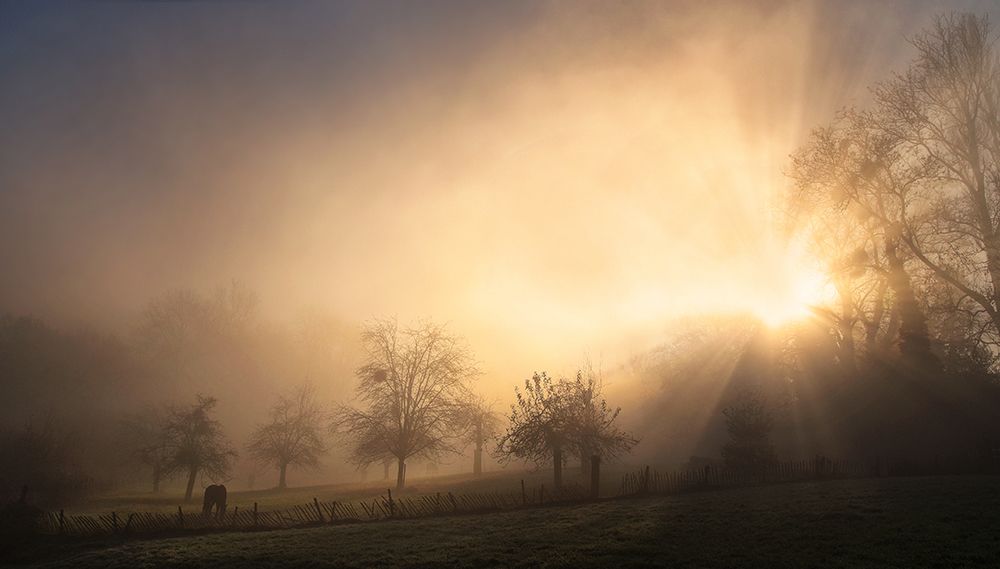 Glorious Morning art print by Lou Urlings for $57.95 CAD