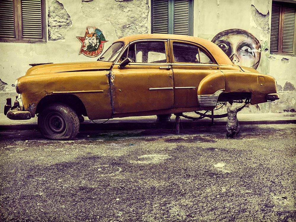 Old Car/Cat art print by Svetlin Yosifov for $57.95 CAD