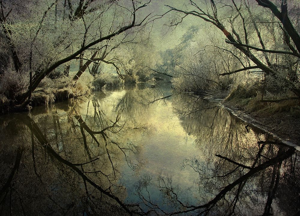 Frosty Silence art print by P Ri for $57.95 CAD