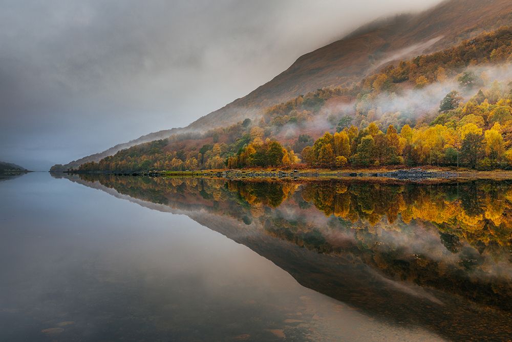 Misty Loch art print by Adrian Popan for $57.95 CAD