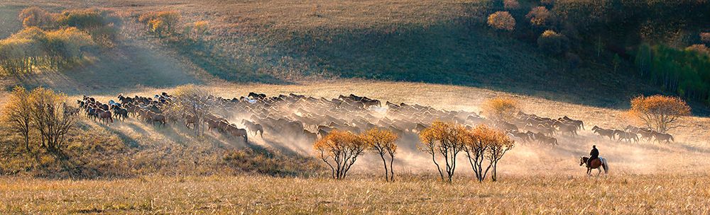 Horses art print by Hua Zhu for $57.95 CAD