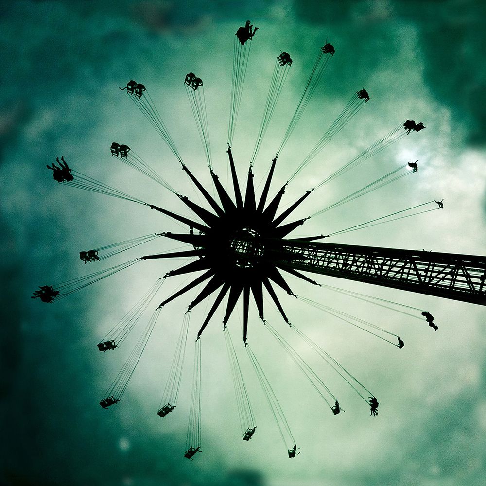 Dandelion art print by Frank Wijn for $57.95 CAD
