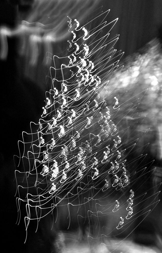Light Tree art print by Dorothee Lieb for $57.95 CAD