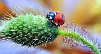 Difficult passing... by Thierry Dufour