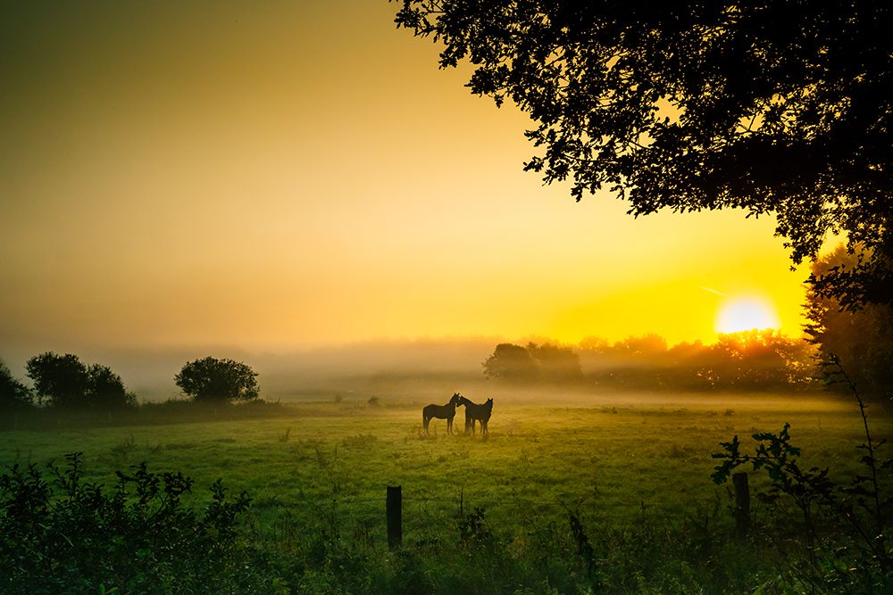 Romantik in der Morgenstunde. art print by Arne Jansen for $57.95 CAD