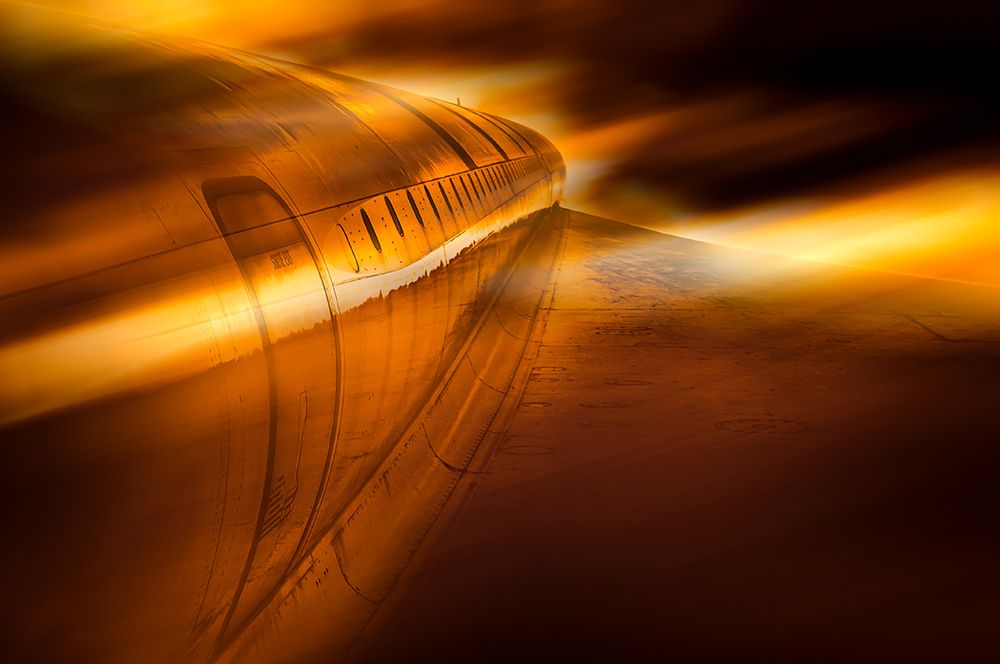 Fly away art print by Stefan Kierek for $57.95 CAD