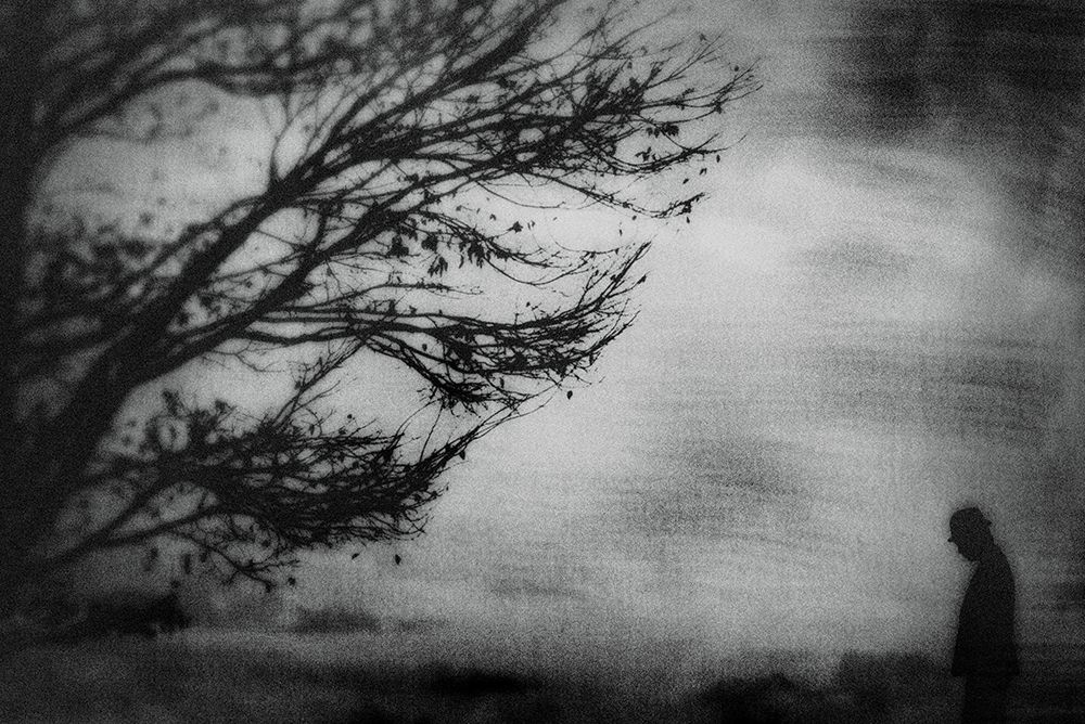 Tree... art print by Teruhiko Tsuchida for $57.95 CAD