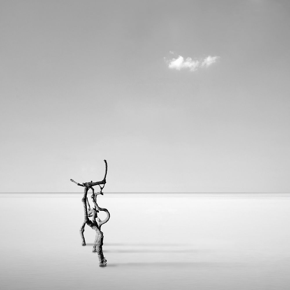 Silver Serenity art print by George Digalakis for $57.95 CAD