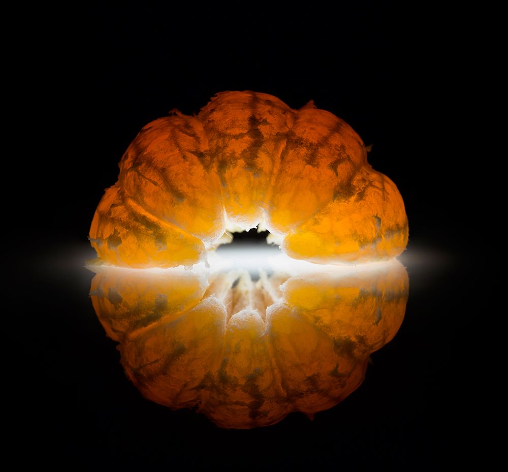 Mandarine art print by Wieteke De Kogel for $57.95 CAD