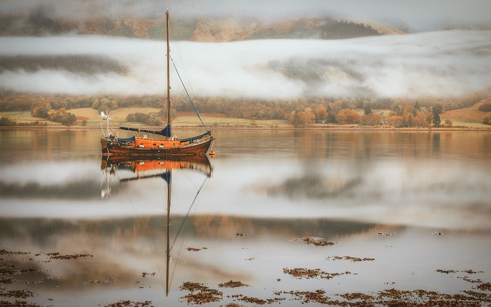 Sail art print by Adrian Popan for $57.95 CAD