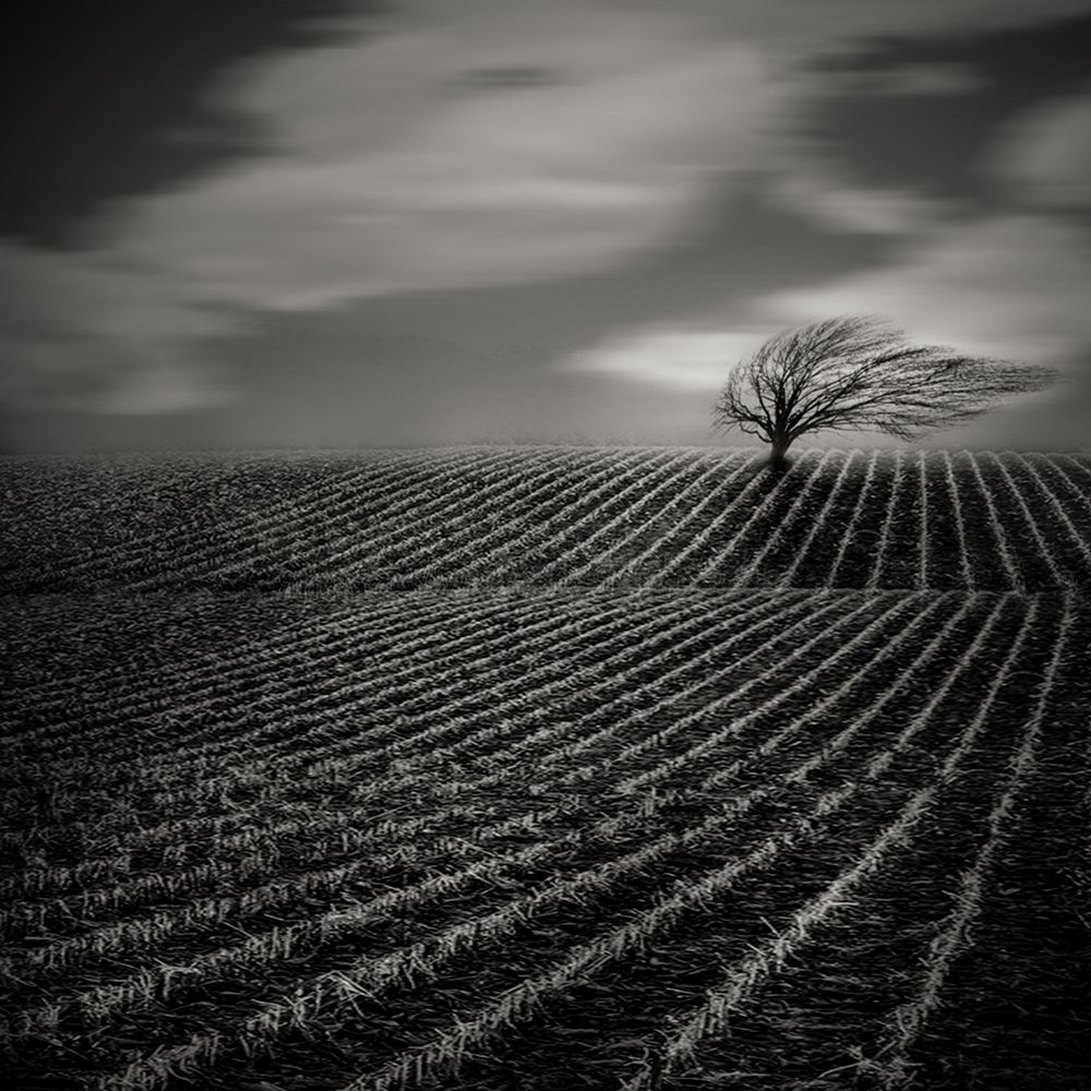 Loneliness art print by AGNIRIBE for $57.95 CAD