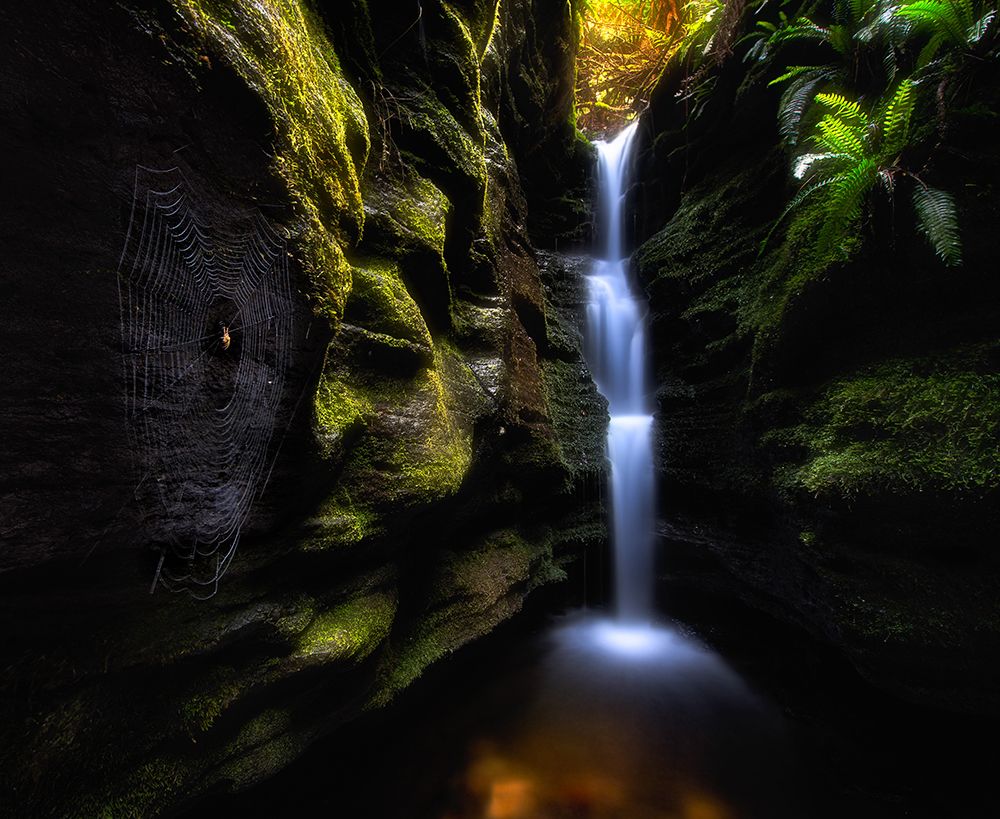 Secret Falls art print by Fei Shi for $57.95 CAD