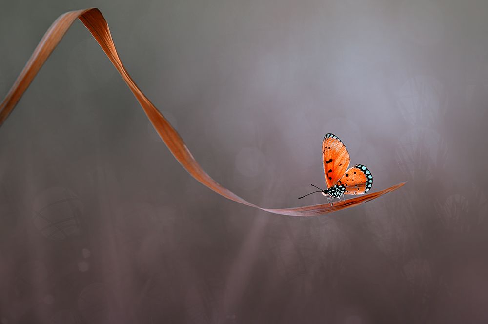 Lonely art print by Edy Pamungkas for $57.95 CAD