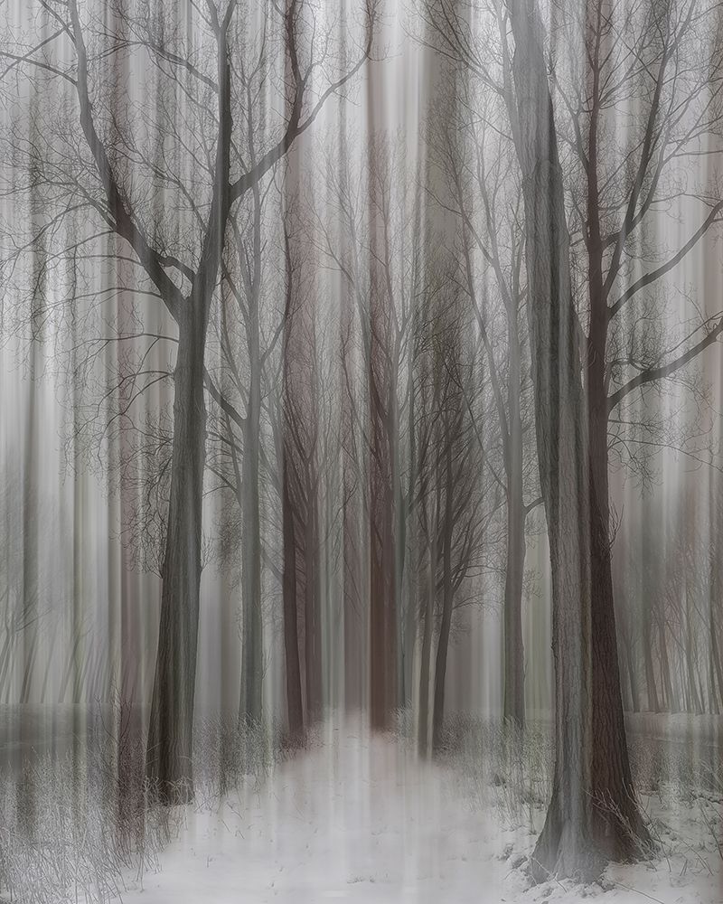 Winter Walz art print by Yvette Depaepe for $57.95 CAD