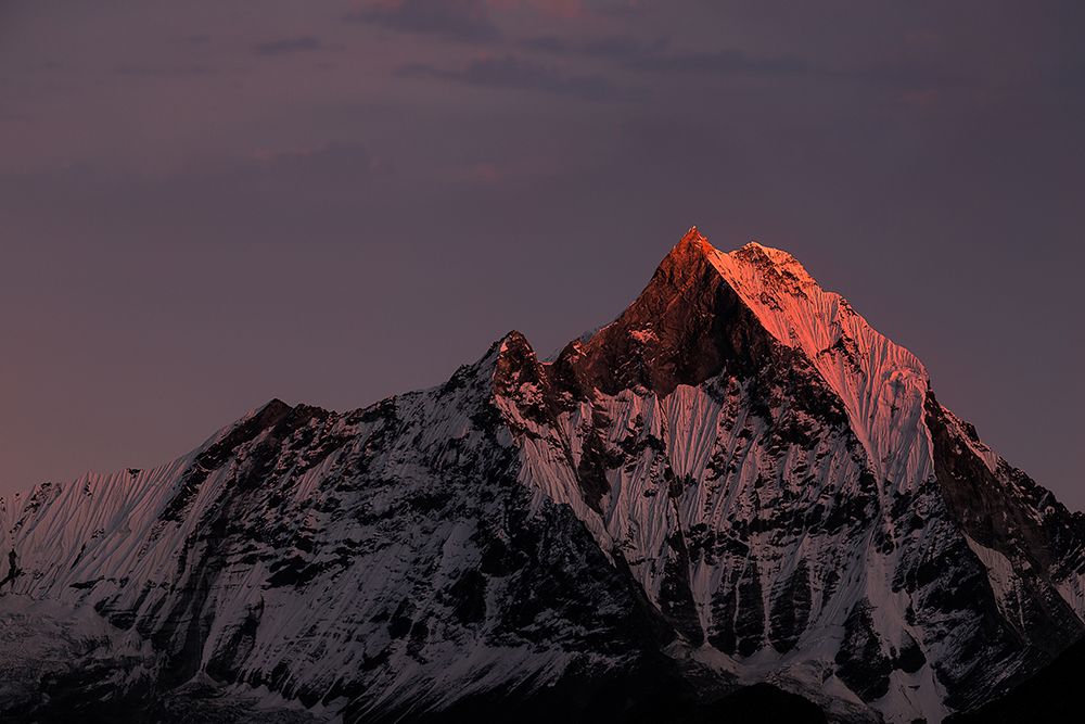 Machhapuchhare. Nepal. Annapurnas. art print by Richard Le Manz for $57.95 CAD