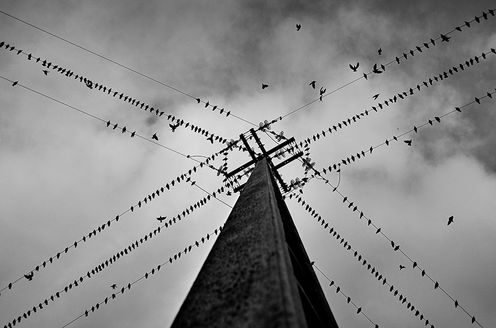 Wired art print by Rui Caria for $57.95 CAD