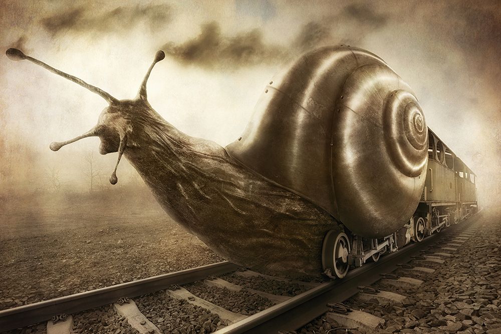 Snail Mail art print by Christophe Kiciak for $57.95 CAD