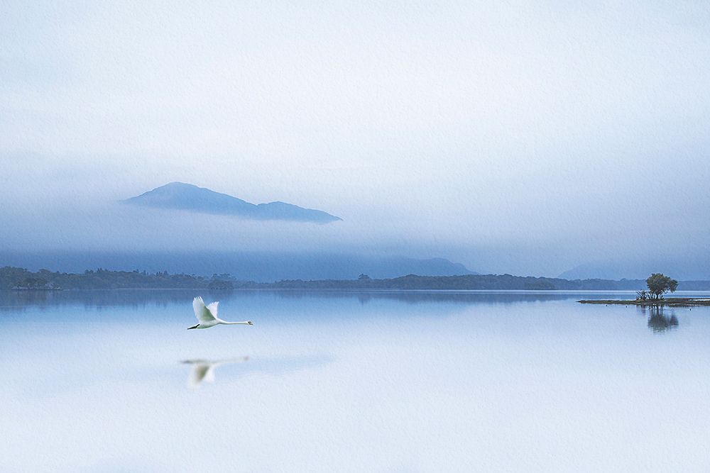 Tranquility art print by Kieran O Mahony for $57.95 CAD