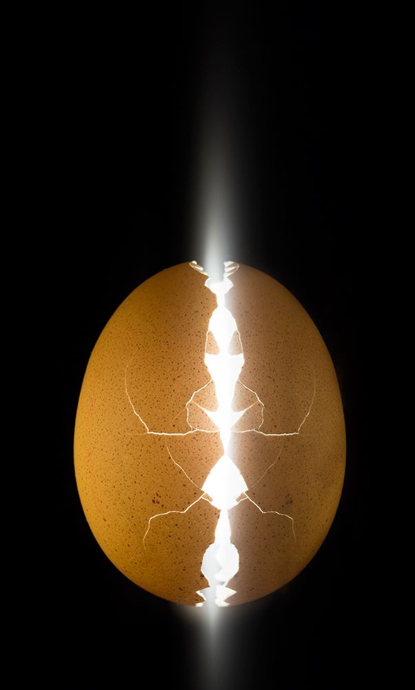 Alien Egg art print by Wieteke De Kogel for $57.95 CAD