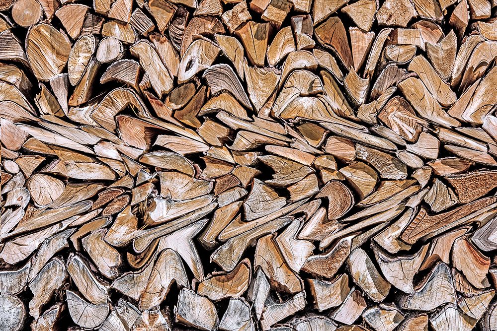 Against The Grain art print by Wayne Pearson for $57.95 CAD