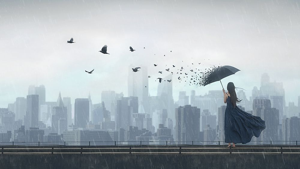 Fly Away art print by Terry F for $57.95 CAD