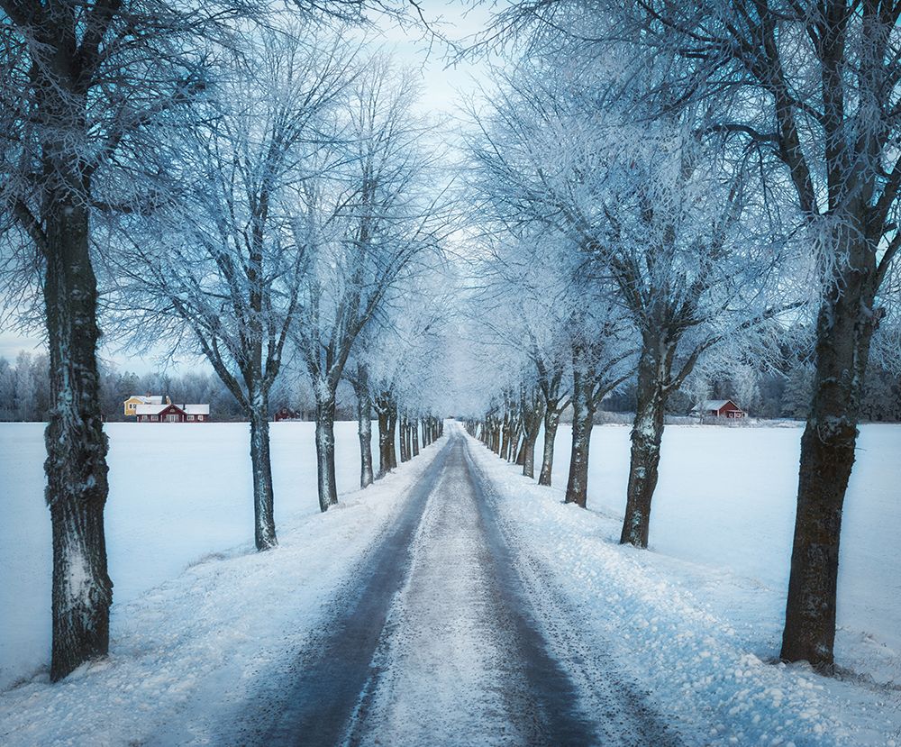Swedish winter art print by Christian Lindsten for $57.95 CAD