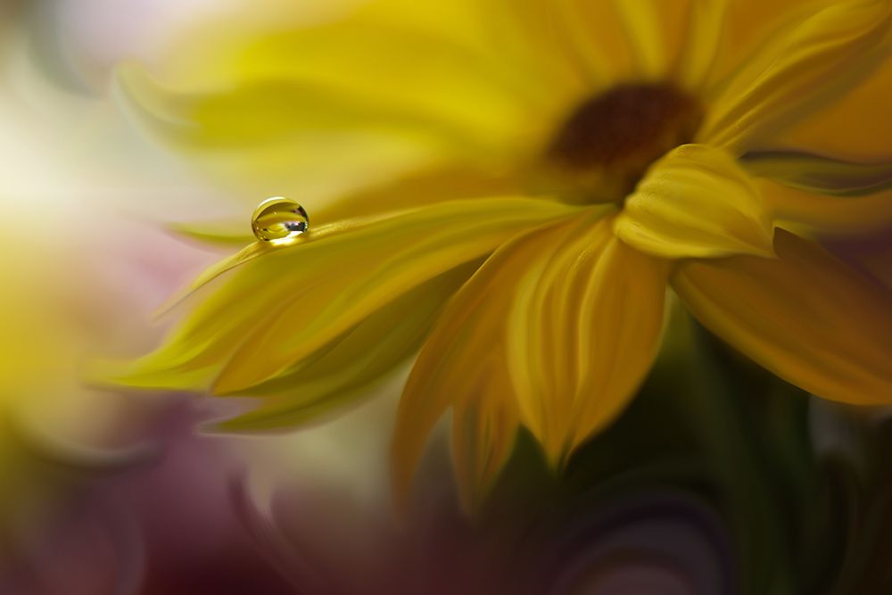 Sunbeam... art print by Juliana Nan for $57.95 CAD