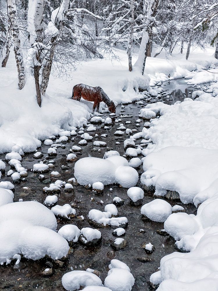 Drinking In Snow art print by Hua Zhu for $57.95 CAD