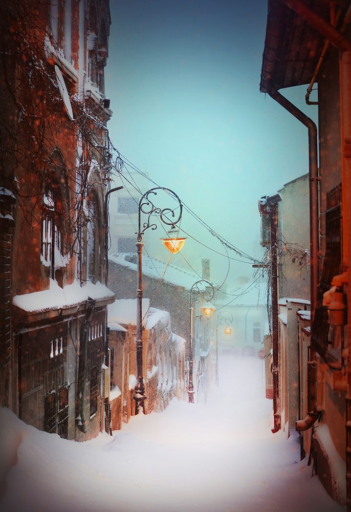 Silence art print by Raceala Elena for $57.95 CAD