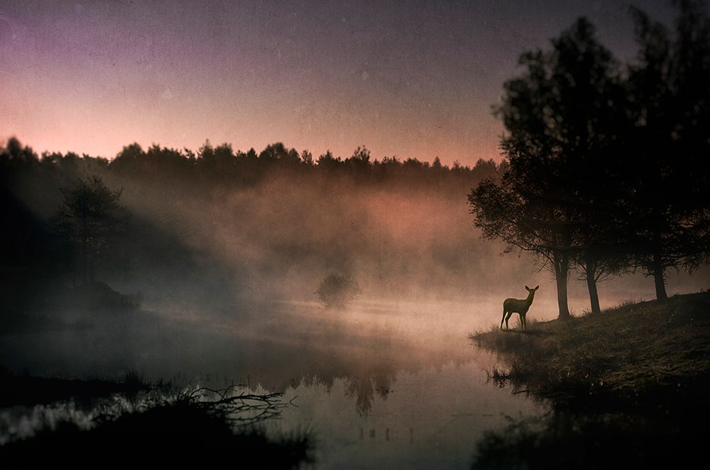 Steamy water........... art print by Wim Schuurmans for $57.95 CAD