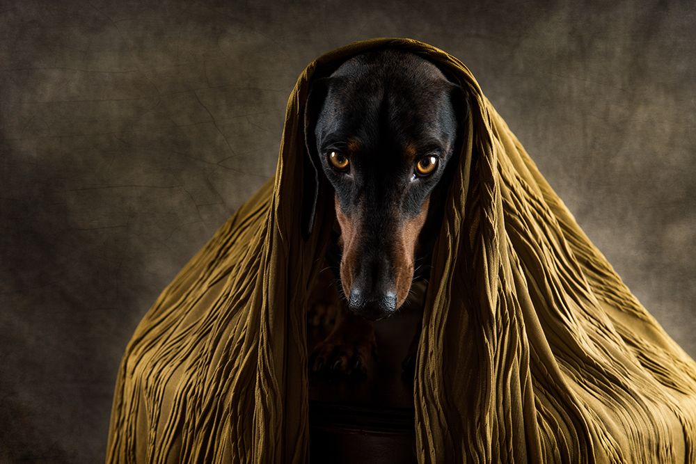 Golden Eyes art print by Heike Willers for $57.95 CAD