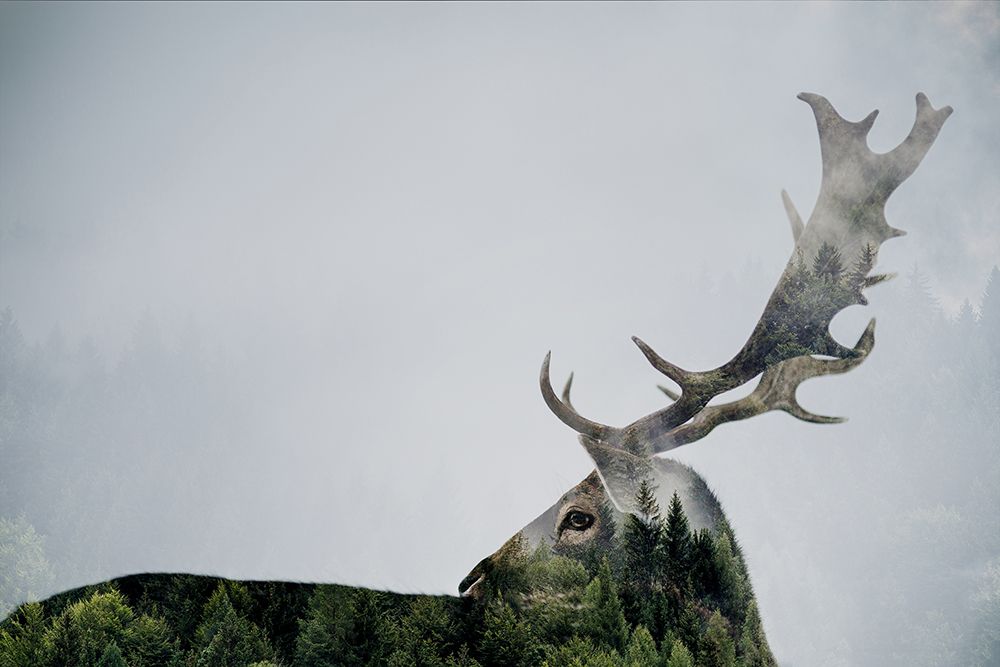 Antler Double-Exposed art print by Angyalosi Beata for $57.95 CAD