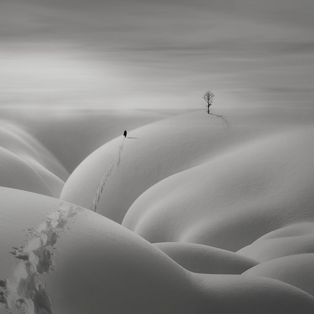 Silent art print by AGNIRIBE for $57.95 CAD