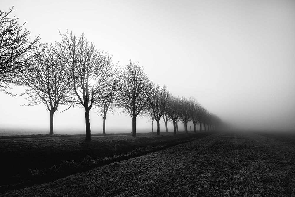 Losing Sight art print by Christophe Staelens for $57.95 CAD