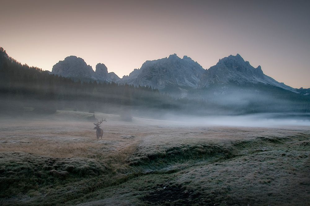 Misty Morning art print by Inigo Cia for $57.95 CAD