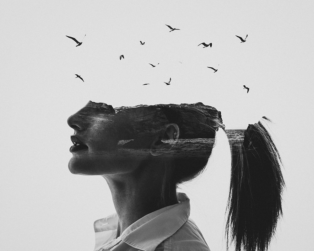 Zephyr art print by Erkin Demir for $57.95 CAD