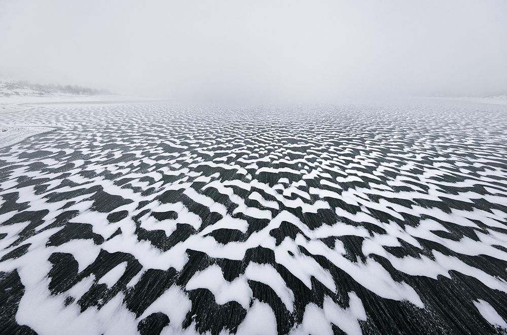 Camouflage Lake art print by Riccardo Lucidi for $57.95 CAD