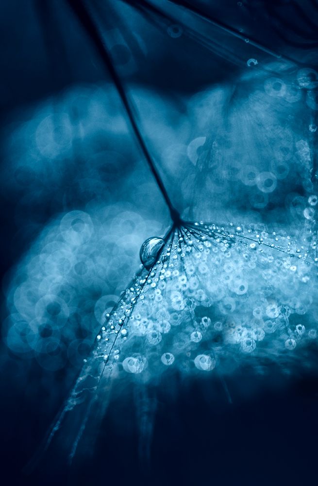 Blue art print by Ivelina Blagoeva for $57.95 CAD