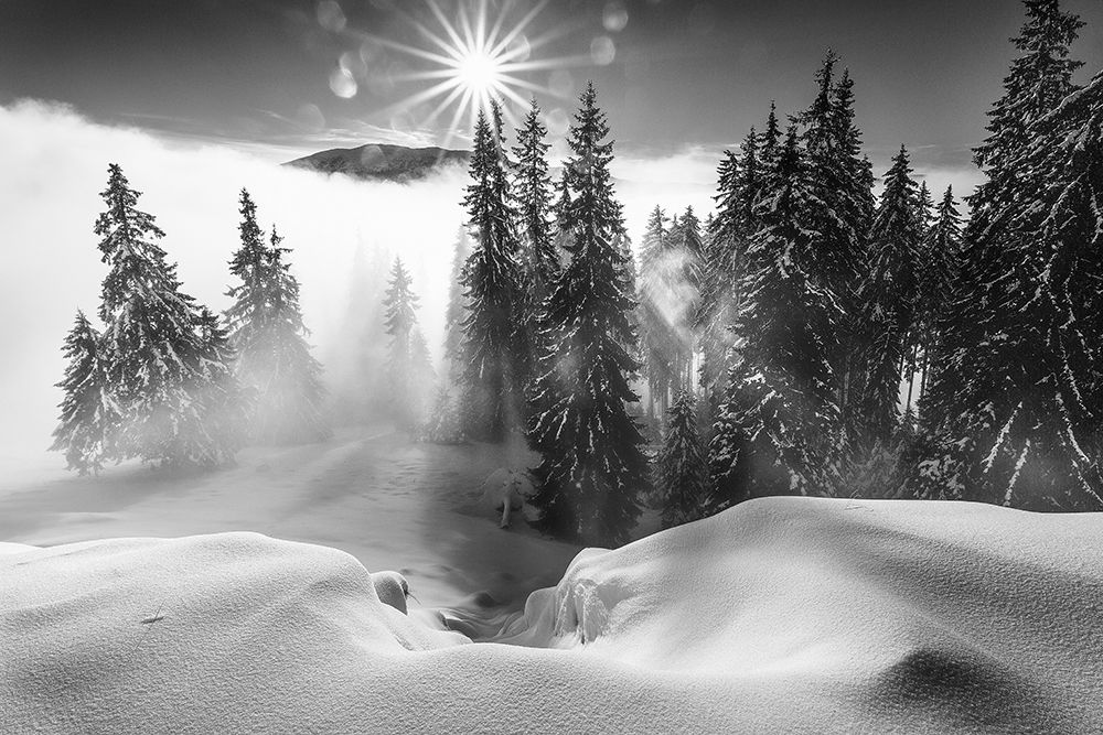 A Winter Tale ! art print by Sorin Onisor for $57.95 CAD