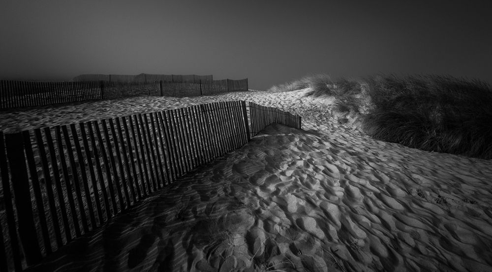 Where Shadows Lie art print by Paulo Abrantes for $57.95 CAD