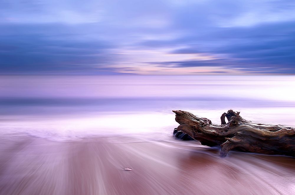 Sea Impressions art print by Albena Markova for $57.95 CAD