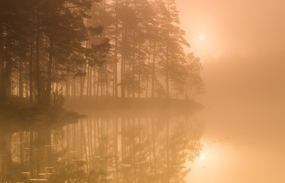 Sun A Mist art print by Andreas Christensen for $57.95 CAD