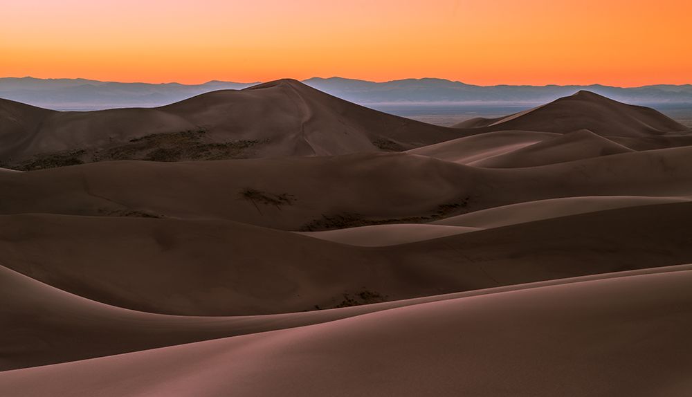 Great Shades art print by Andreas Agazzi for $57.95 CAD