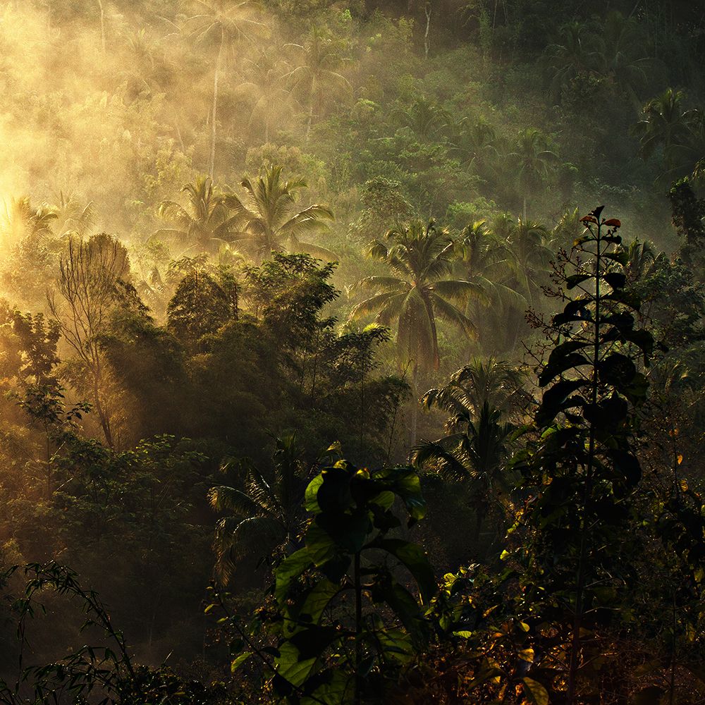 ..... the atmosphere of the morning ..... art print by Johanes Januar for $57.95 CAD