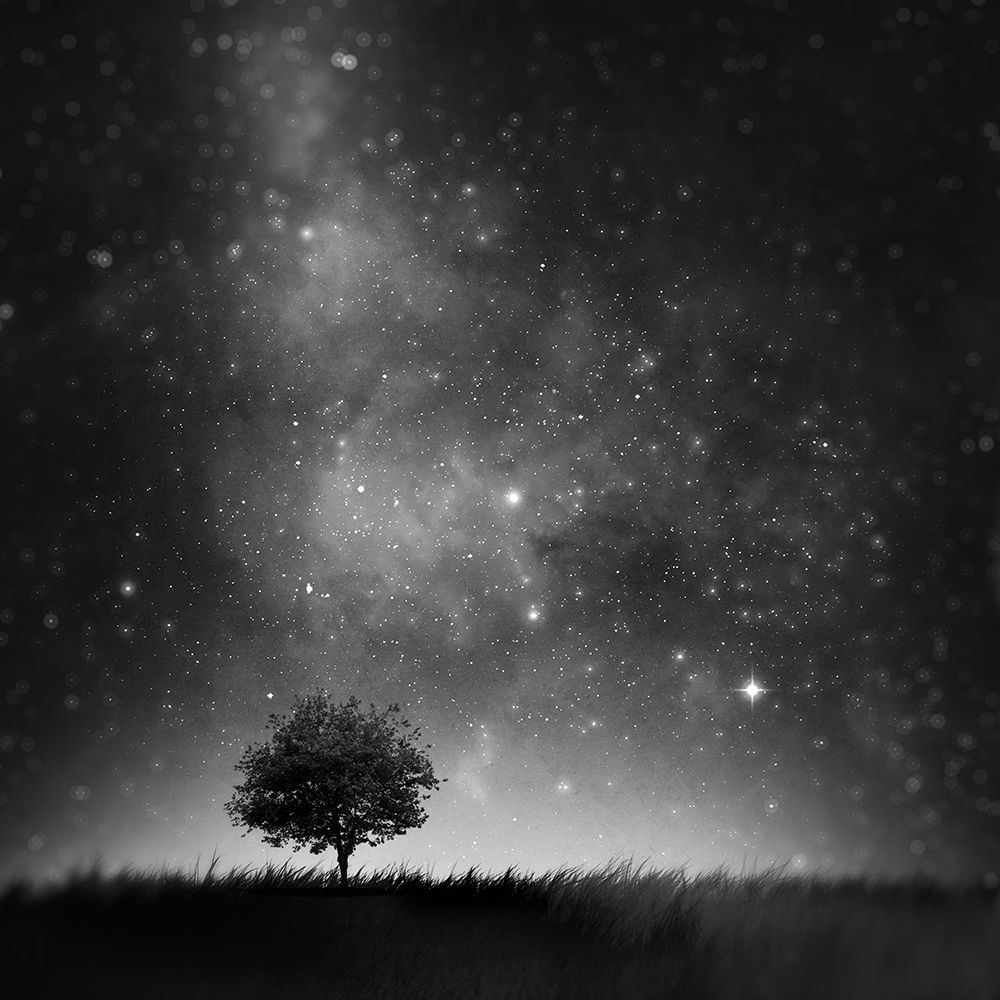 Not So Alone art print by Sebastien Del Grosso for $57.95 CAD