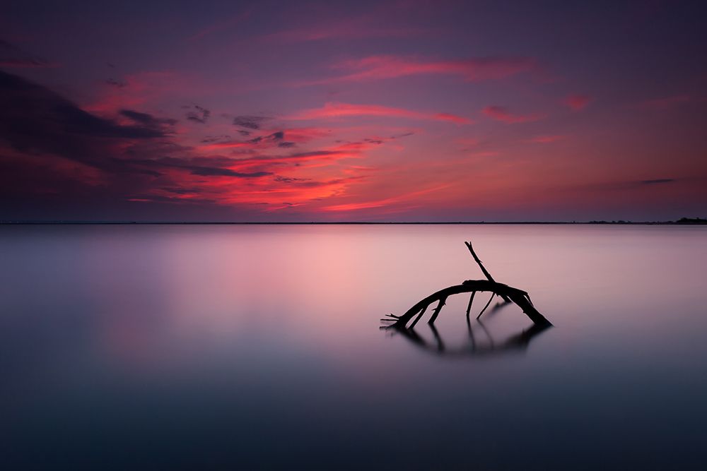 Colors Of Evening art print by Michal Olech for $57.95 CAD