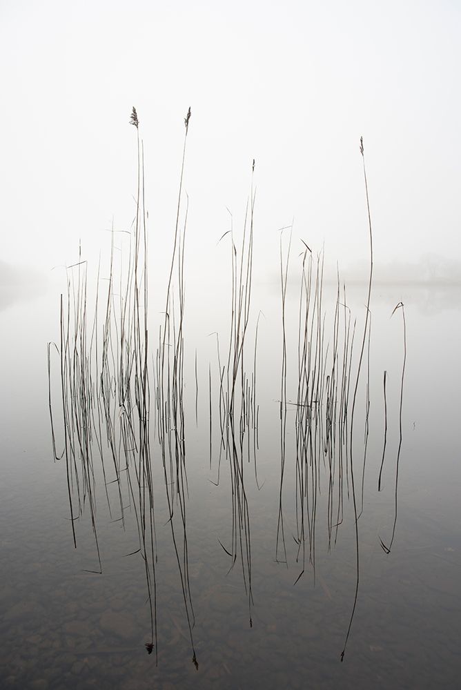 Silence art print by David Ahern for $57.95 CAD