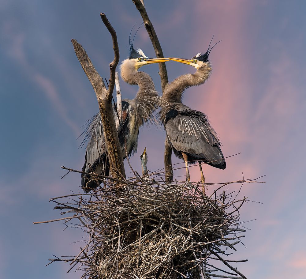 Happy Family Trio art print by Kevin Wang for $57.95 CAD