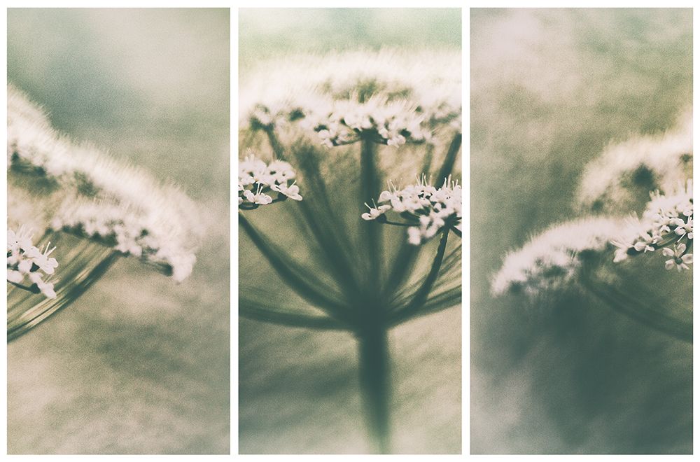 Memories art print by Gustav Davidsson for $57.95 CAD