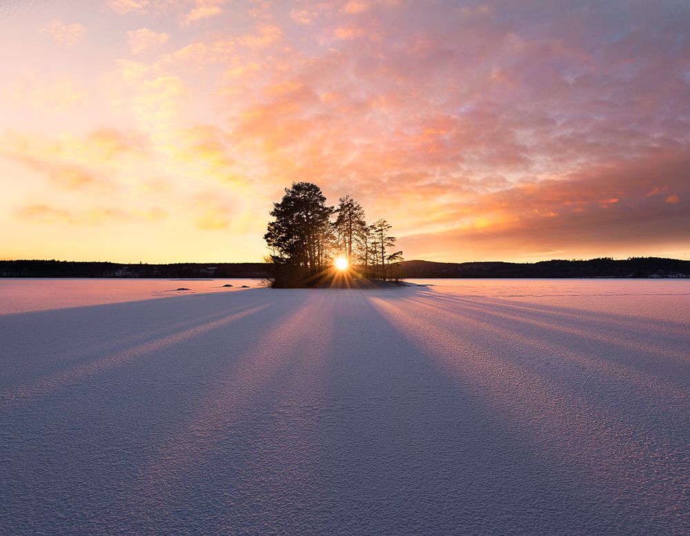 Sun Kissed art print by Christian Lindsten for $57.95 CAD